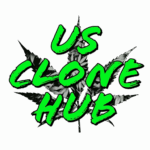 US Clone Hub Premium Clones