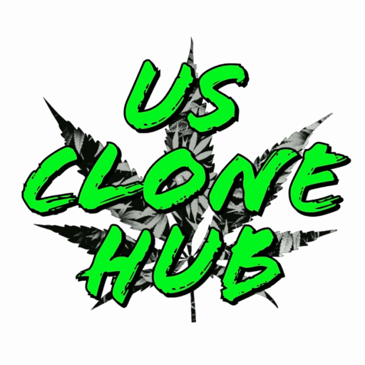 US Clone Hub Premium Clones